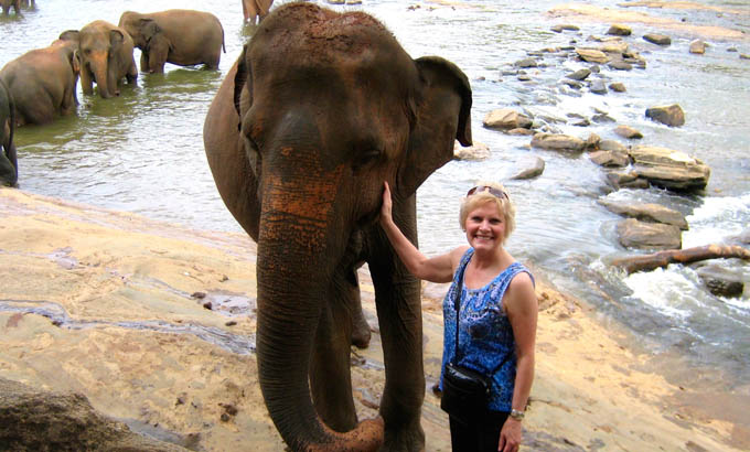 pinnawala bathing